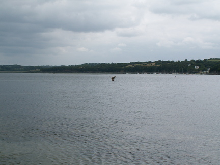 20060810 143722